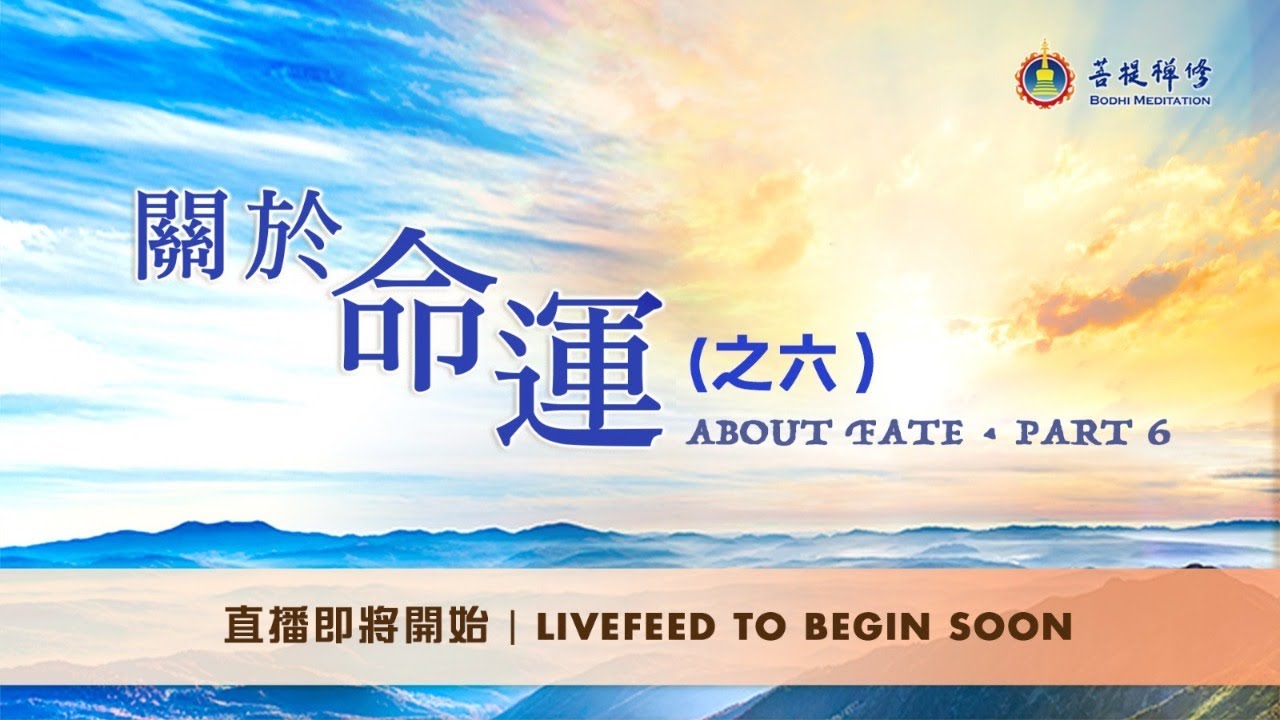 金菩提評價 關於命運之六