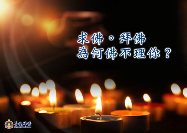 金菩提宗師 求佛 拜佛