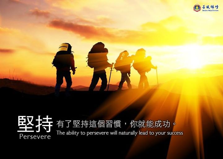 「金菩提」宗師 網友修行疑問   網友分享