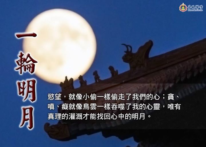 金菩提宗師 一輪明月的故事