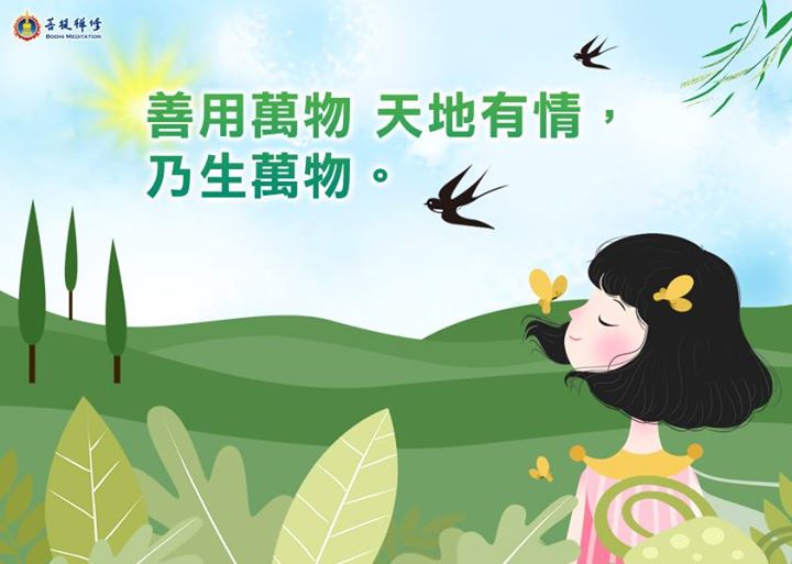 金菩提宗師 善用萬物 天地有情，乃生萬物。 網友分享