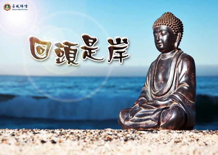 金菩提宗師 回頭是岸