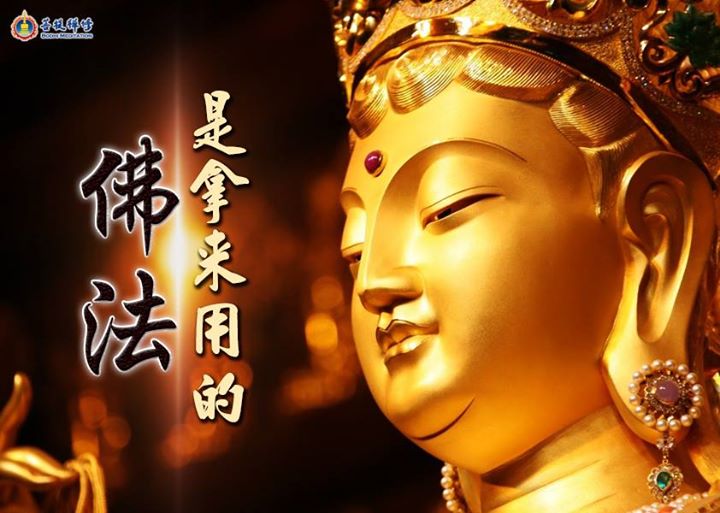 金菩提宗師 佛法是拿來用的