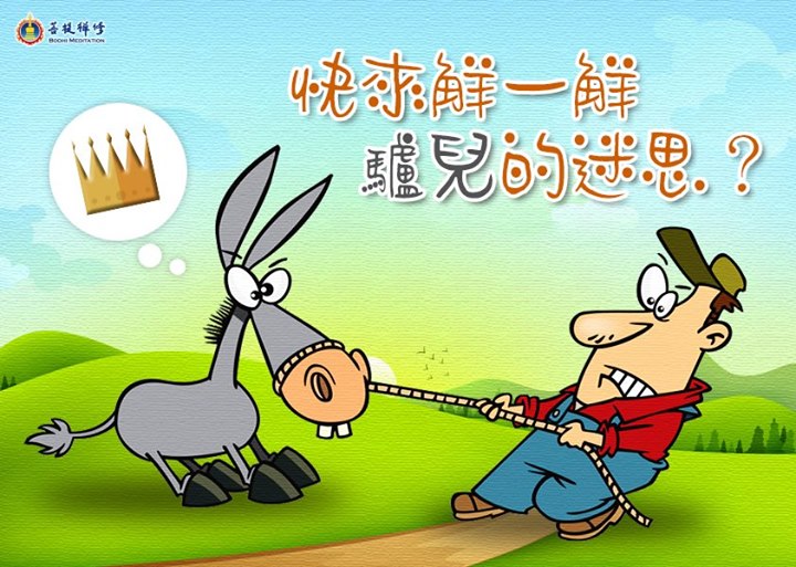 「金菩提」宗師 快來解一解驢兒的迷思？