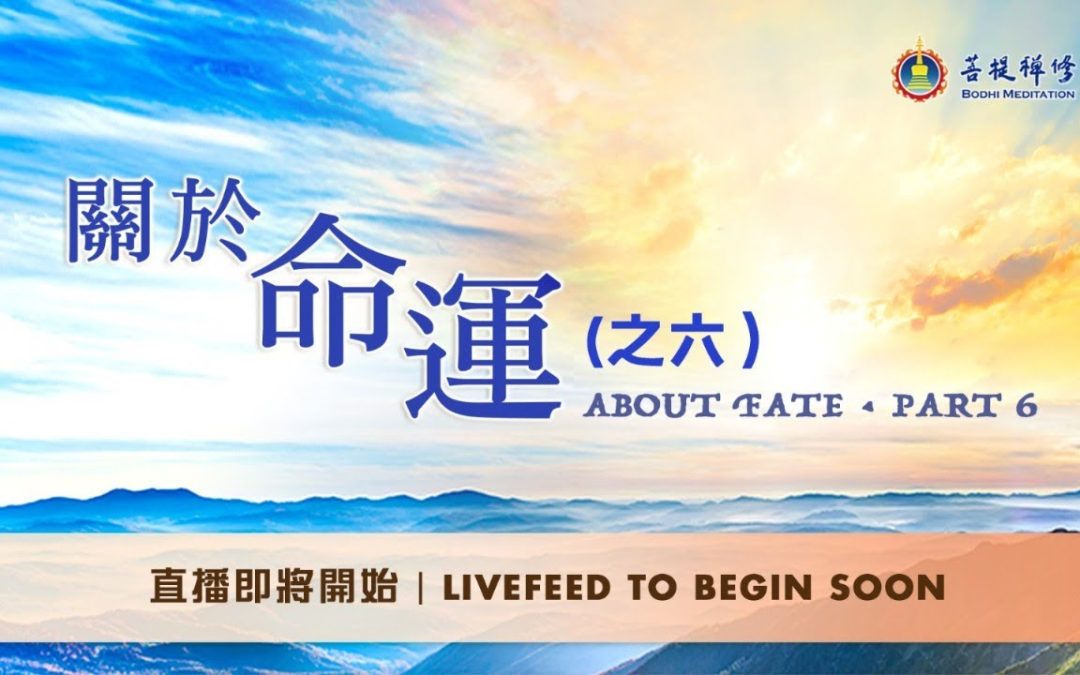 金菩提評價 關於命運之(六) 金菩提網友分享