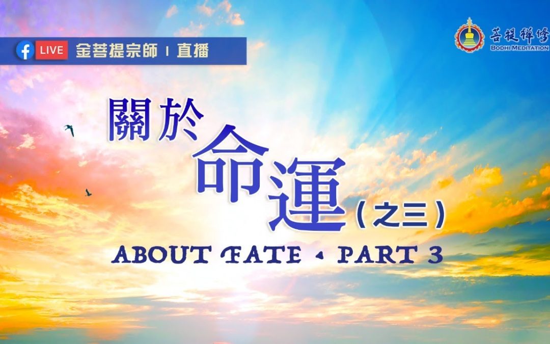 金菩提宗師 金菩提評價,金菩提家訓(三)-網友心得分享